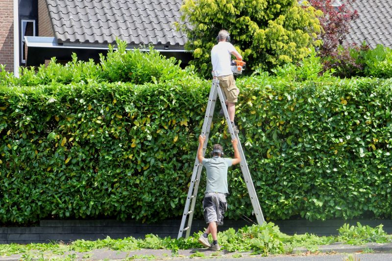 Hedge Shaping