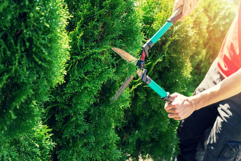 Hedge Maintenance Tools