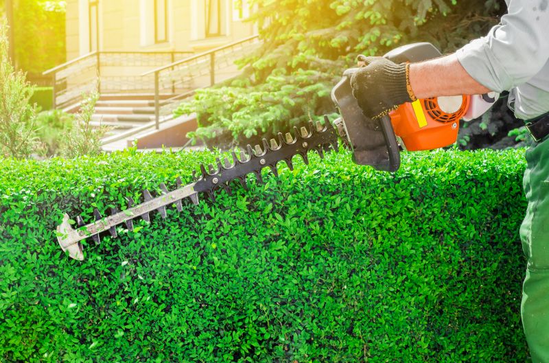 Hedge Shaping Specialists