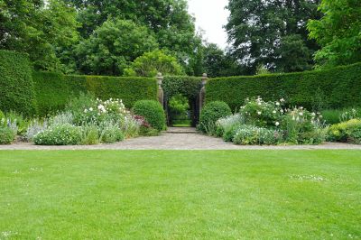 Give Your Garden a Unique Look!